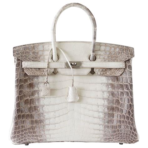 hermes birkin 35 himalayan